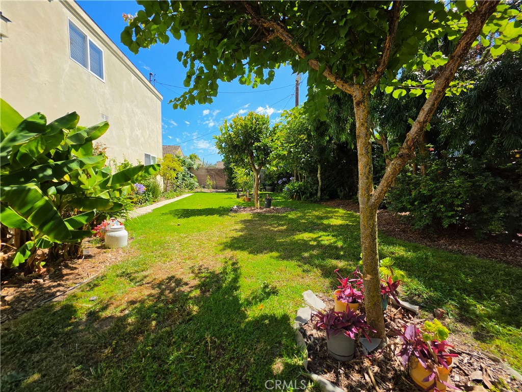11541 Donovan Road Rossmoor, CA 90720 - Photo 49 of 51 View across the yard