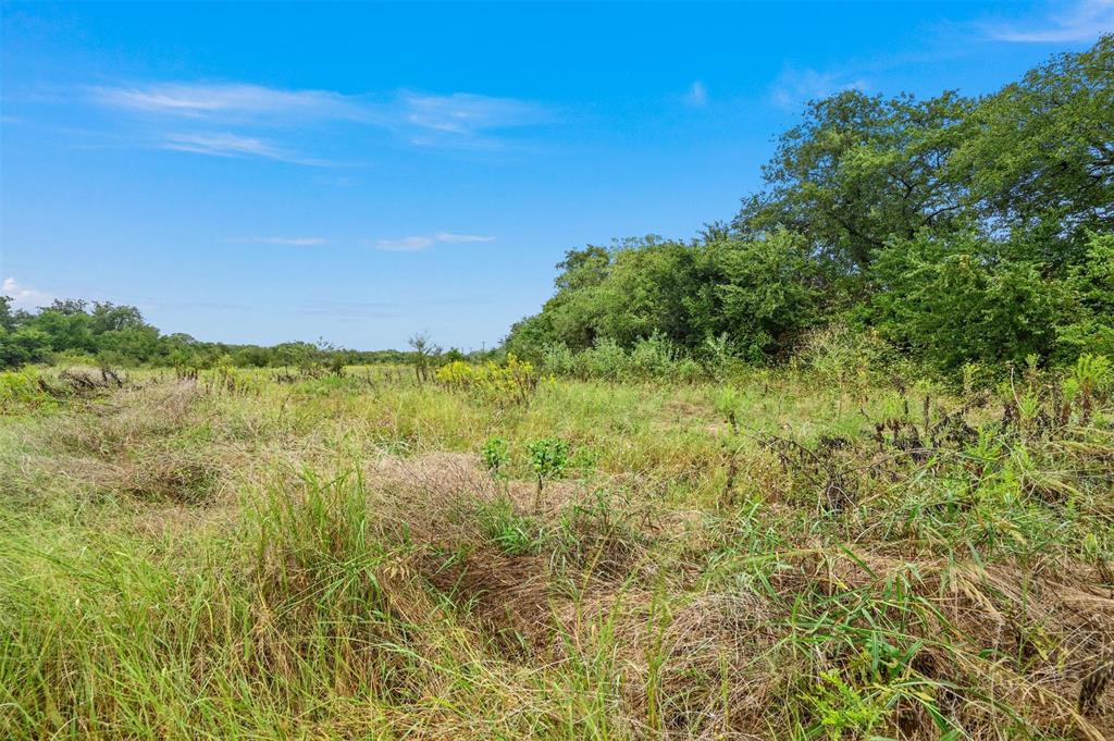 1061 Blackchamp Road Waxahachie, TX 75167 - Photo 21 of 22 a view of an outdoor space and a lake view
