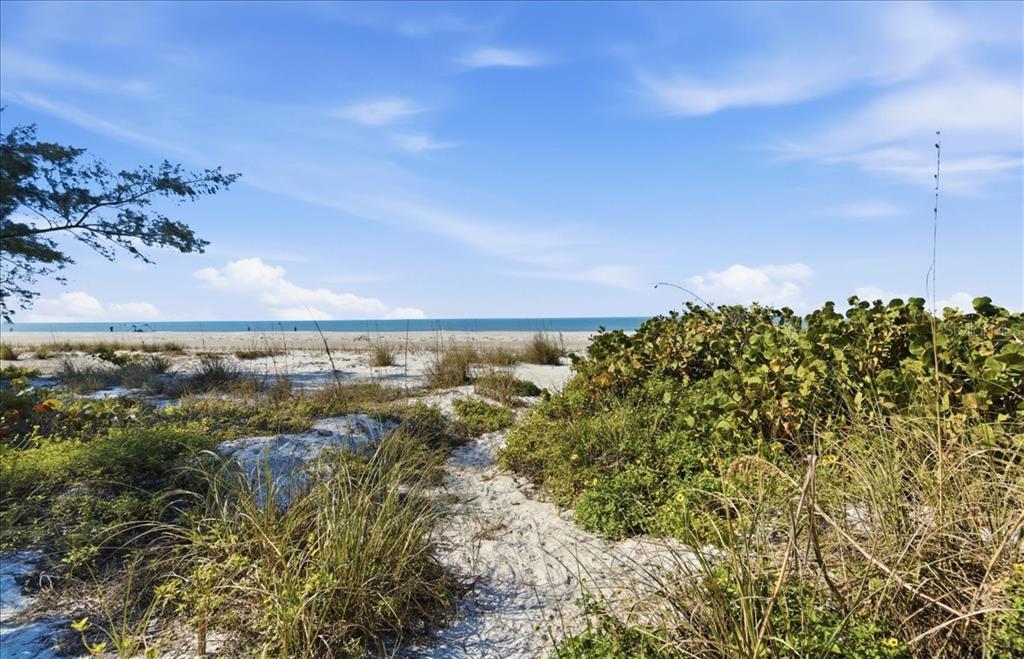 102 Tuna Street Anna Maria, FL 34216 - Photo 64 of 73