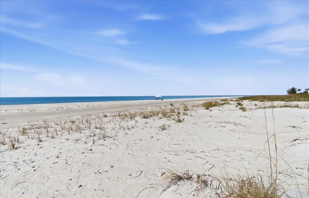 102 Tuna Street Anna Maria, FL 34216 - Photo 67 of 73