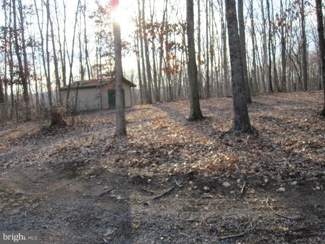 358 Getaway Road Hedgesville, WV 25427 - Photo 12 of 23 shed in yard that is 14x18