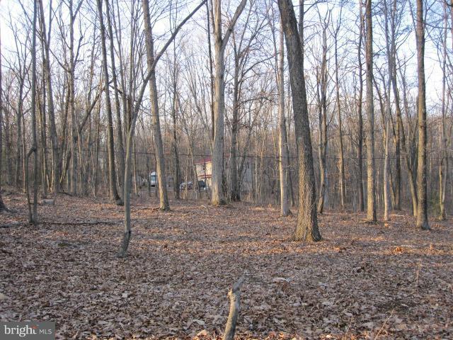 358 Getaway Road Hedgesville, WV 25427 - Photo 13 of 23 wooded lot