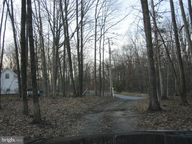 358 Getaway Road Hedgesville, WV 25427 - Photo 19 of 23 drive to main road