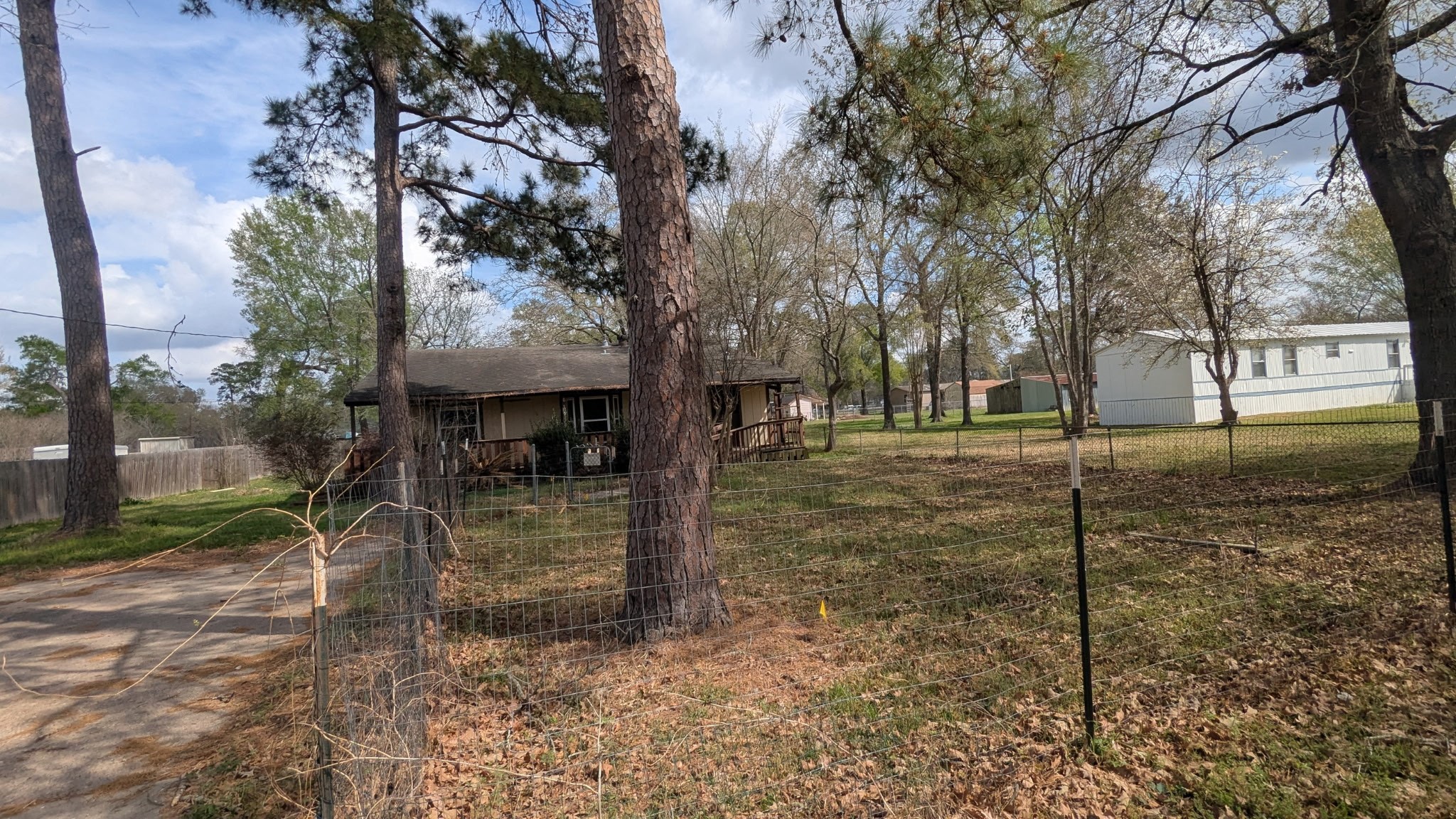 24571 Vale Lane Porter, TX 77365 - Photo 3 of 10 a view of a yard with a tree