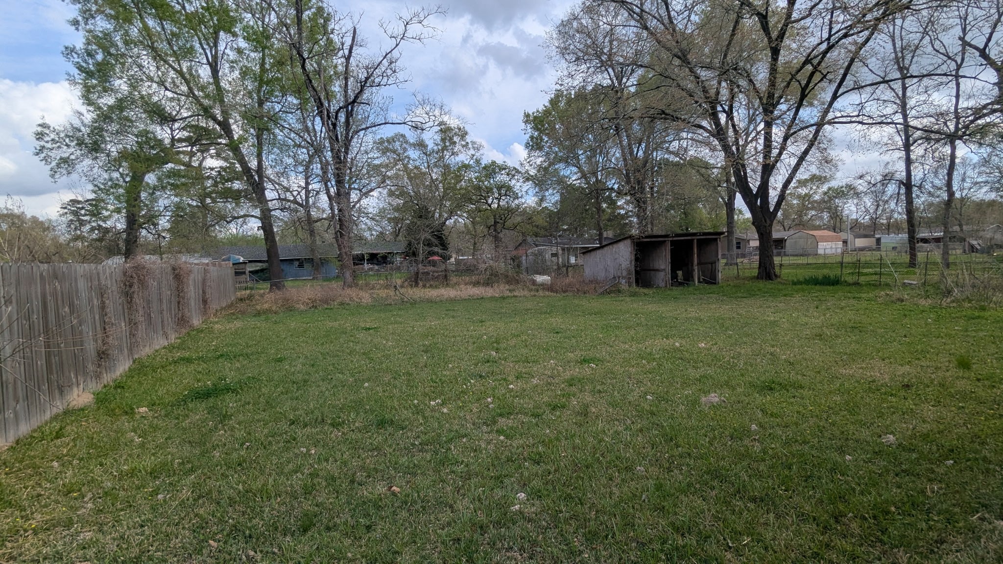 24571 Vale Lane Porter, TX 77365 - Photo 5 of 10 a view of a yard with a large tree