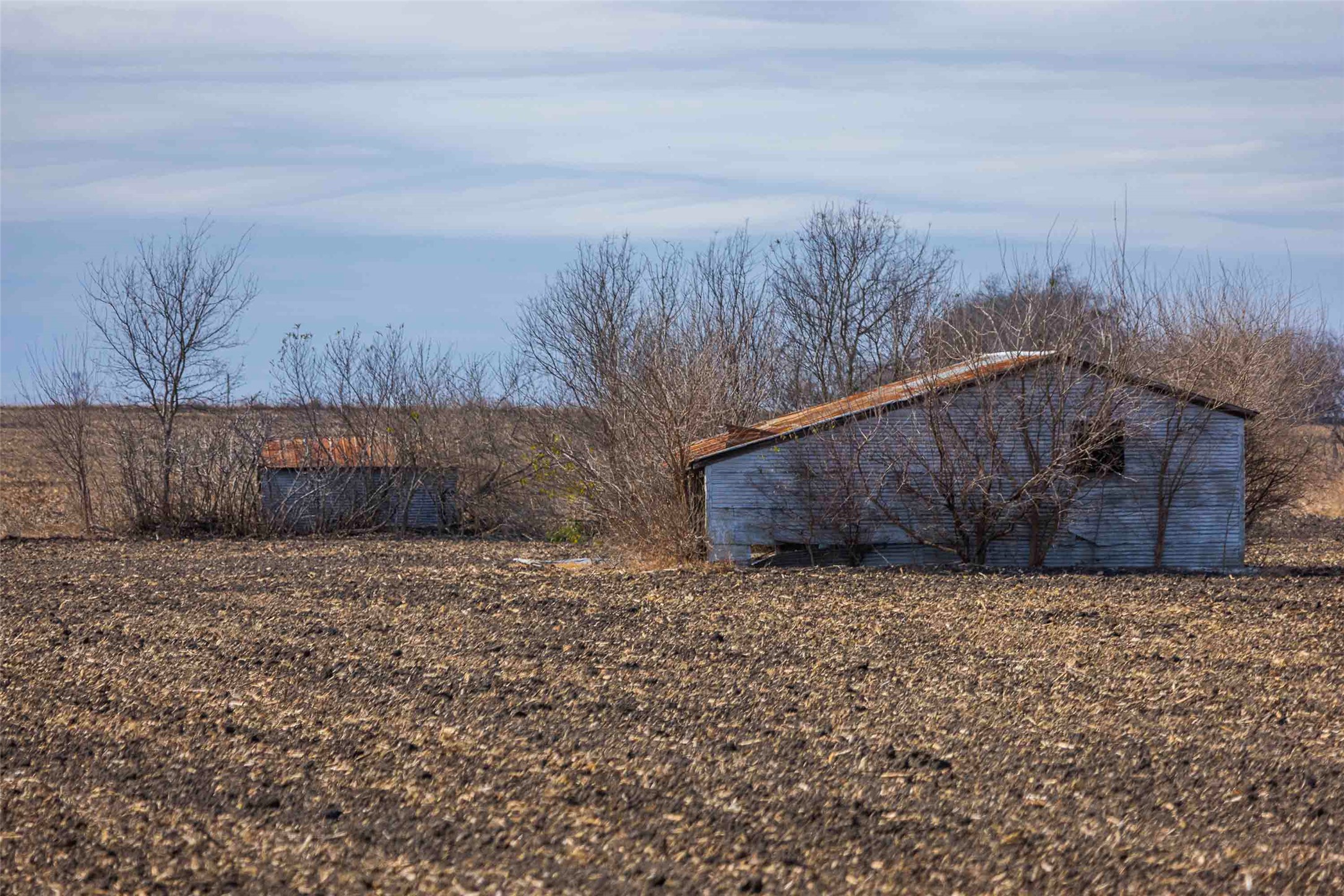 1251 County Road 340 Granger, TX 76530 - Photo 6 of 14