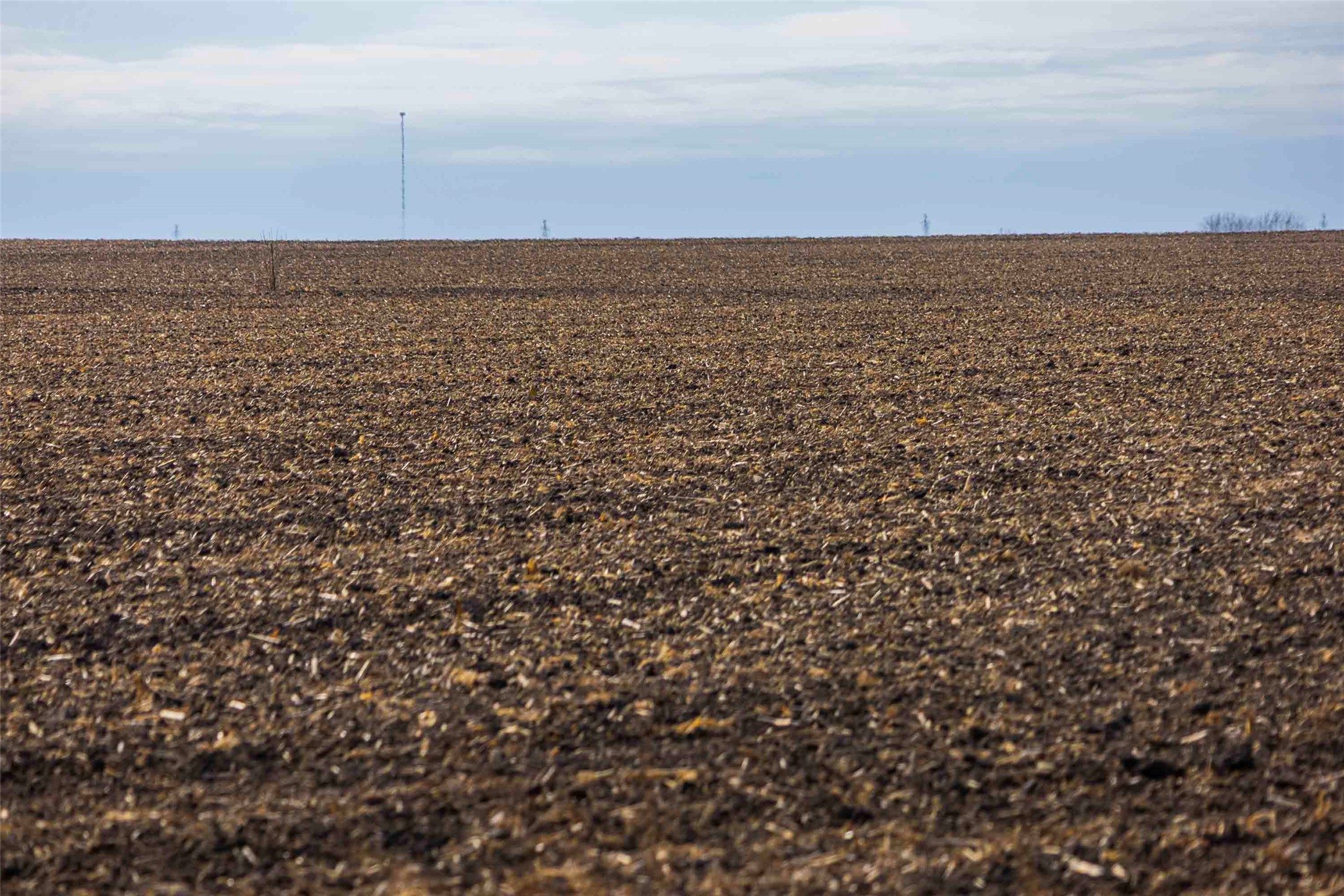 1251 County Road 340 Granger, TX 76530 - Photo 8 of 14