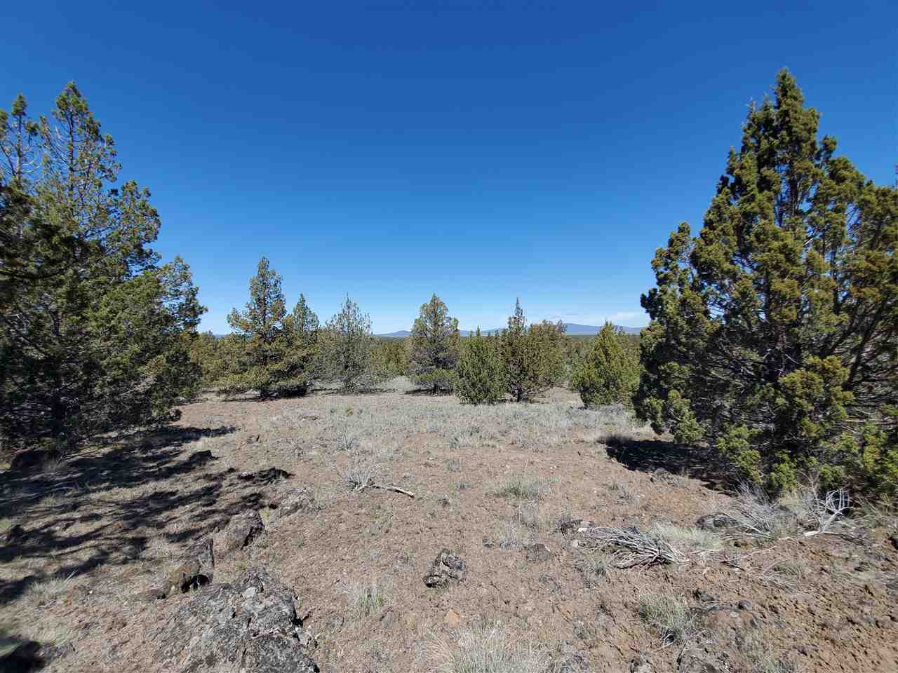 Off Homeland Rd Off Homeland Road Macdoel, CA 96058 - Photo 9 of 24 Gallery Image 9
