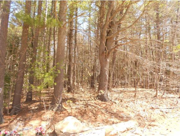 Lot 51 Varney Road Gilmanton, NH 03837 - Photo 9 of 11