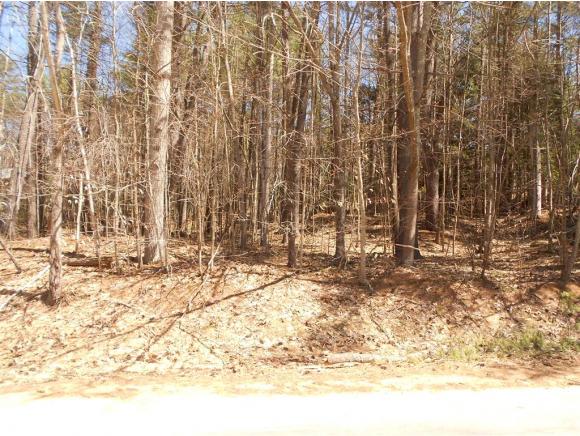 Lot 51 Varney Road Gilmanton, NH 03837 - Photo 10 of 11