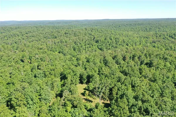 $2,645,000 | 224 St Grandin Mo 63943, Ellsinore, MO 63937
