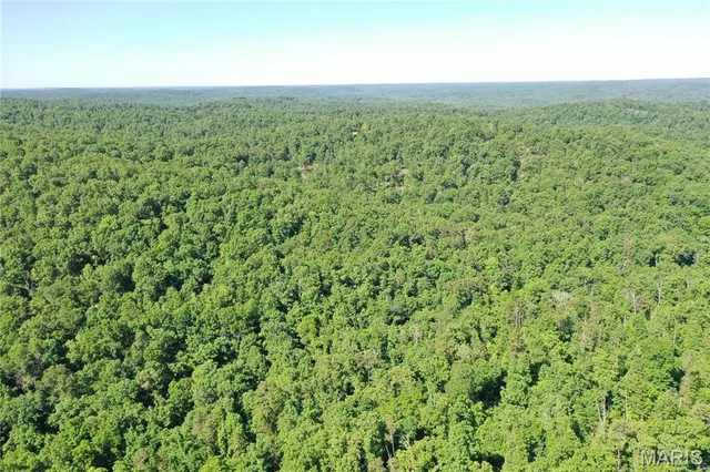 $2,645,000 | 224 St Grandin Mo 63943, Grandin, MO 63943