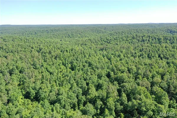 $2,645,000 | 224 St Grandin Mo 63943, Ellsinore, MO 63937