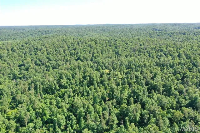 $2,645,000 | 224 St Grandin Mo 63943, Grandin, MO 63943