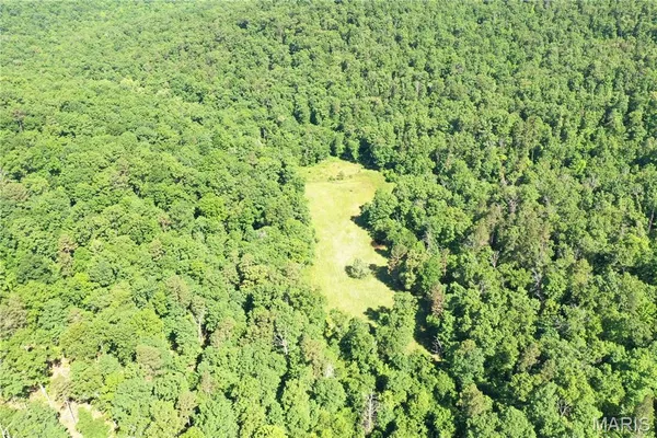 $2,645,000 | 224 St Grandin Mo 63943, Ellsinore, MO 63937