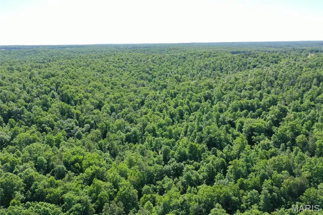 $2,645,000 | 224 St Grandin Mo 63943, Grandin, MO 63943