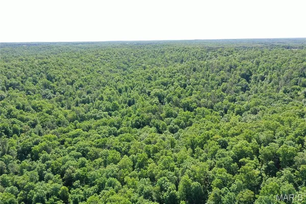 $2,645,000 | 224 St Grandin Mo 63943, Ellsinore, MO 63937