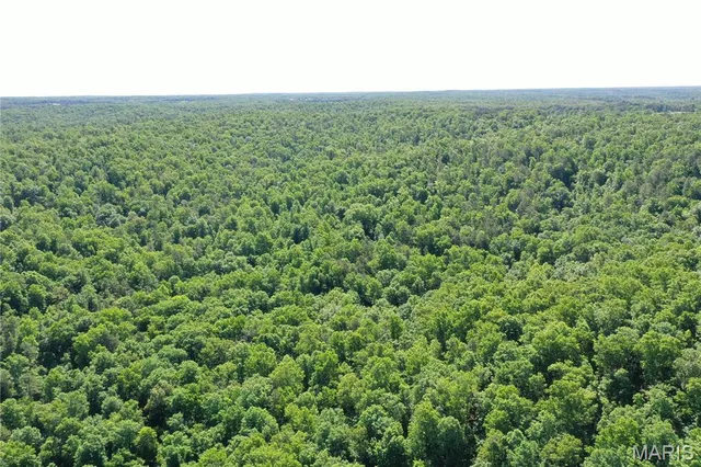 $2,645,000 | 224 St Grandin Mo 63943, Grandin, MO 63943