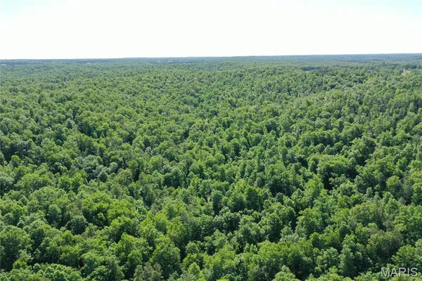 $2,645,000 | 224 St Grandin Mo 63943, Ellsinore, MO 63937