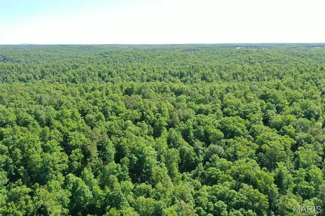 $2,645,000 | 224 St Grandin Mo 63943, Grandin, MO 63943