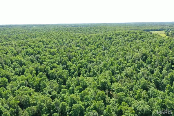 $2,645,000 | 224 St Grandin Mo 63943, Ellsinore, MO 63937