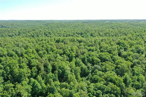 $2,645,000 | 224 St Grandin Mo 63943, Ellsinore, MO 63937