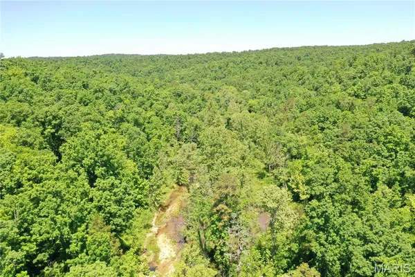 $2,645,000 | 224 St Grandin Mo 63943, Ellsinore, MO 63937