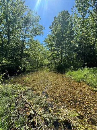 $2,645,000 | 224 St Grandin Mo 63943, Ellsinore, MO 63937