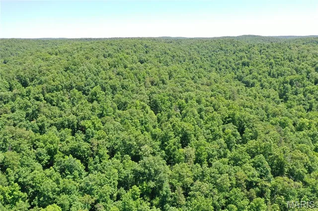 $2,645,000 | 224 St Grandin Mo 63943, Grandin, MO 63943