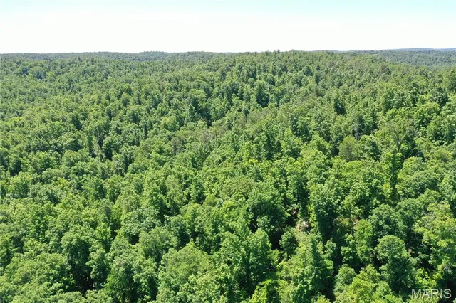 $2,645,000 | 224 St Grandin Mo 63943, Grandin, MO 63943