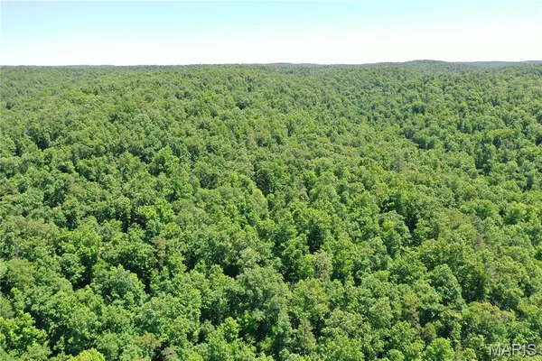 $2,645,000 | 224 St Grandin Mo 63943, Ellsinore, MO 63937