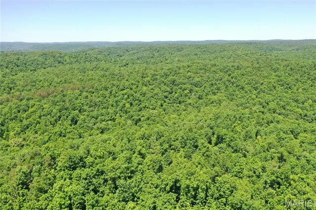 $2,645,000 | 224 St Grandin Mo 63943, Grandin, MO 63943