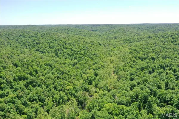 $2,645,000 | 224 St Grandin Mo 63943, Ellsinore, MO 63937