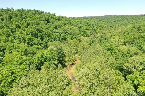 $2,645,000 | 224 St Grandin Mo 63943, Ellsinore, MO 63937