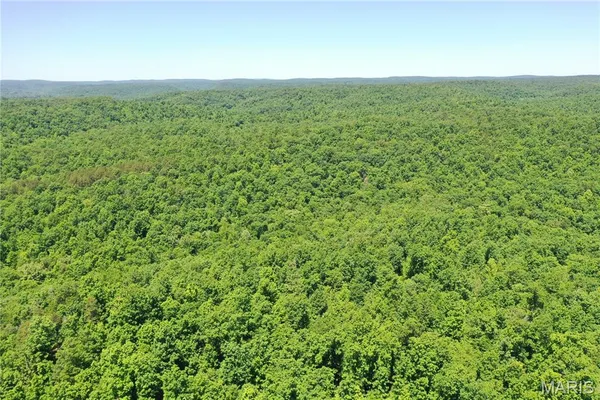 $2,645,000 | 224 St Grandin Mo 63943, Ellsinore, MO 63937