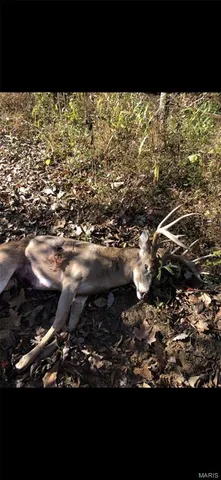 $2,645,000 | 224 St Grandin Mo 63943, Grandin, MO 63943