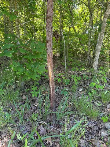 $2,645,000 | 224 St Grandin Mo 63943, Grandin, MO 63943