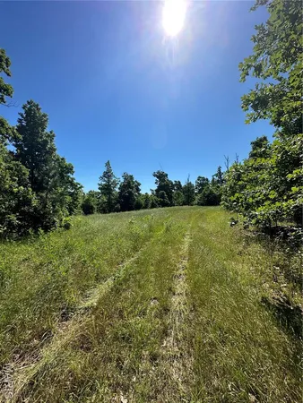 $2,645,000 | 224 St Grandin Mo 63943, Ellsinore, MO 63937