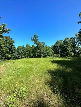 $2,645,000 | 224 St Grandin Mo 63943, Ellsinore, MO 63937