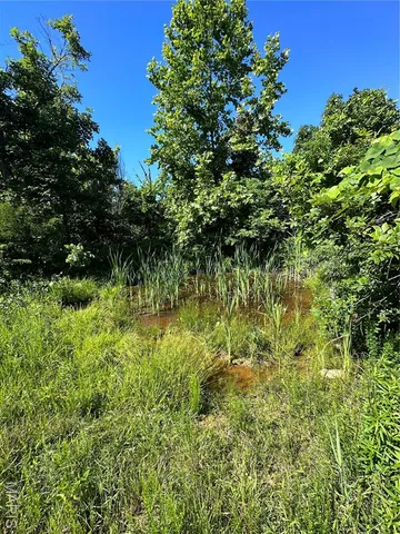 $2,645,000 | 224 St Grandin Mo 63943, Grandin, MO 63943