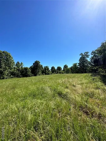 $2,645,000 | 224 St Grandin Mo 63943, Ellsinore, MO 63937