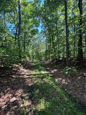 $2,645,000 | 224 St Grandin Mo 63943, Grandin, MO 63943