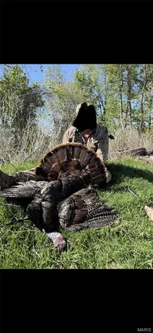 $2,645,000 | 224 St Grandin Mo 63943, Grandin, MO 63943