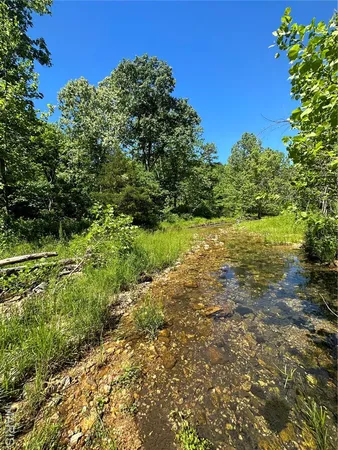 $2,645,000 | 224 St Grandin Mo 63943, Ellsinore, MO 63937