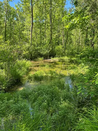 $2,645,000 | 224 St Grandin Mo 63943, Ellsinore, MO 63937