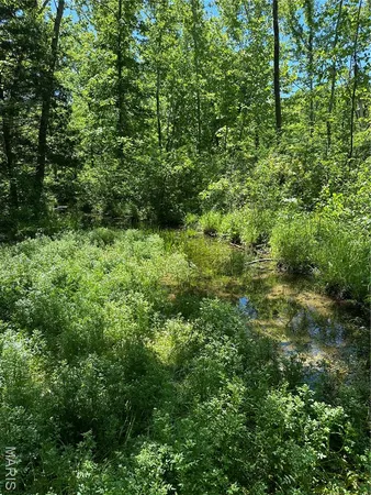 $2,645,000 | 224 St Grandin Mo 63943, Ellsinore, MO 63937