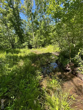 $2,645,000 | 224 St Grandin Mo 63943, Ellsinore, MO 63937