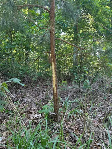 $2,645,000 | 224 St Grandin Mo 63943, Grandin, MO 63943