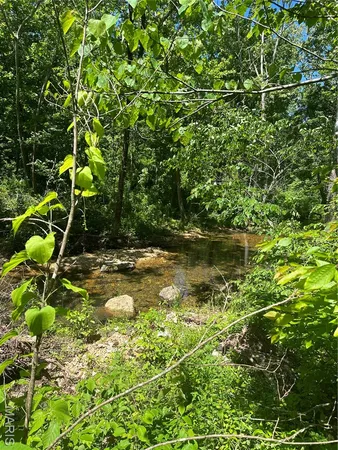 $2,645,000 | 224 St Grandin Mo 63943, Ellsinore, MO 63937