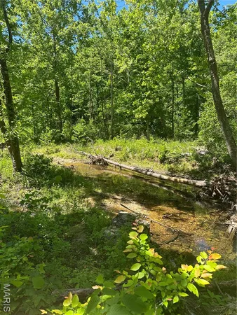 $2,645,000 | 224 St Grandin Mo 63943, Ellsinore, MO 63937